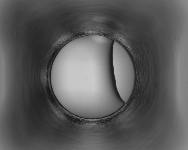X0000086900586200704160949