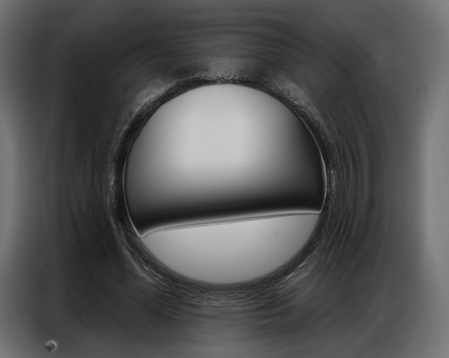 X0000086900588200704160949