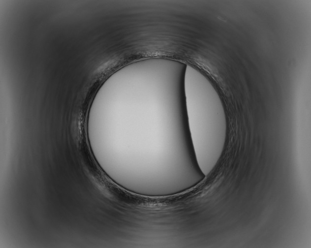 X0000086900590200704160949