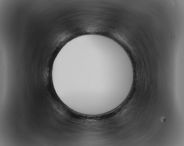 X0000086900592200704160949