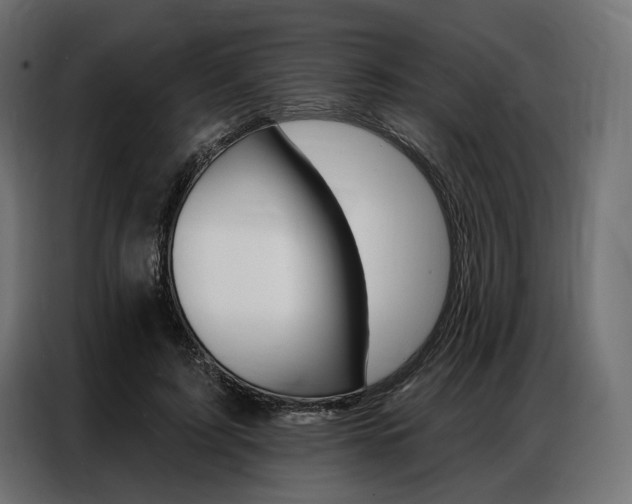 X0000086900595200704160948