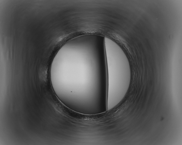 X0000086900596200704160948