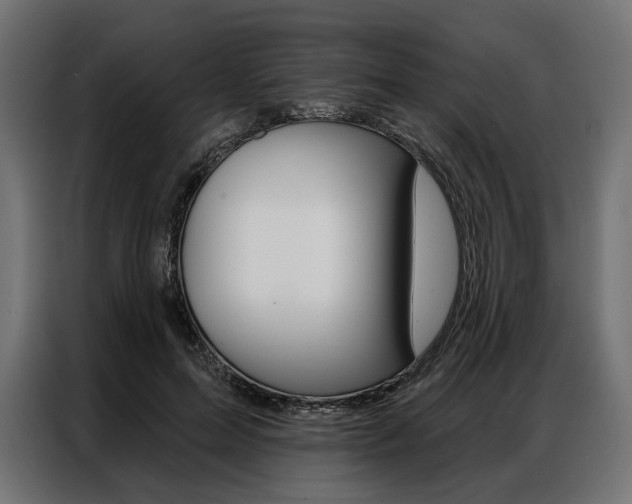 X0000086900599200704160948