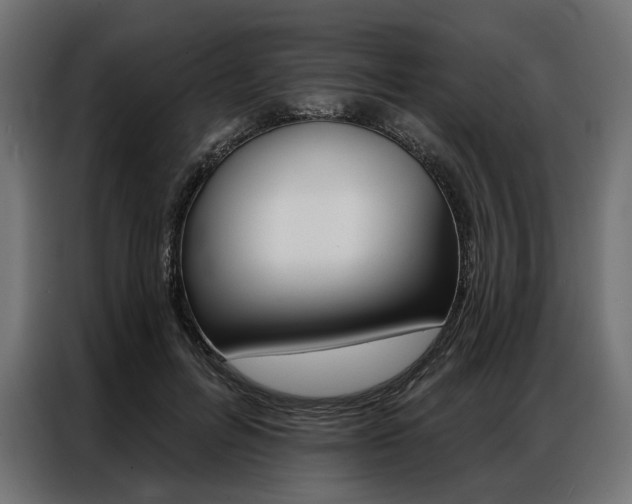 X0000086900600200704160948
