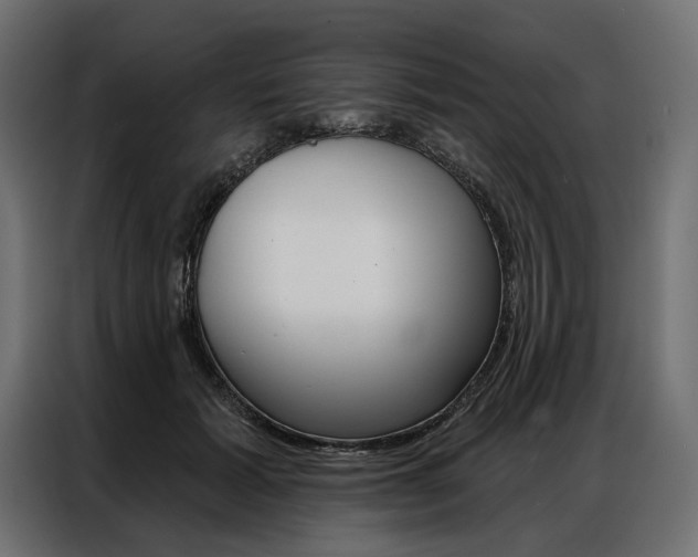 X0000086900605200704160948