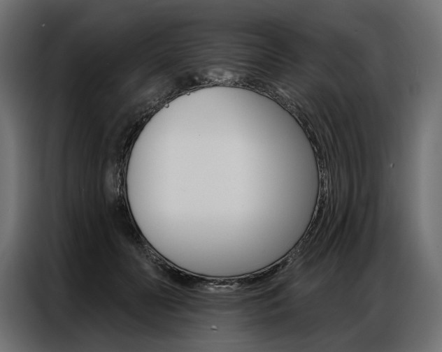 X0000086900606200704160948