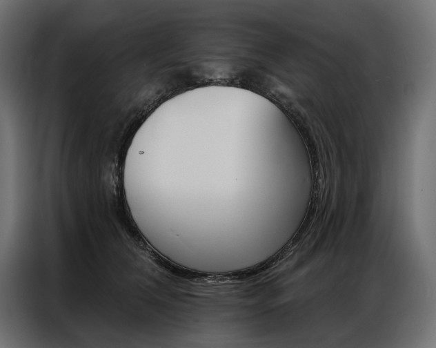 X0000086900612200704160948