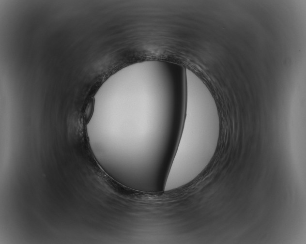 X0000086900613200704160948
