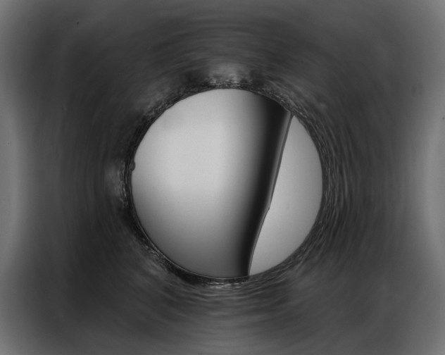 X0000086900616200704160948