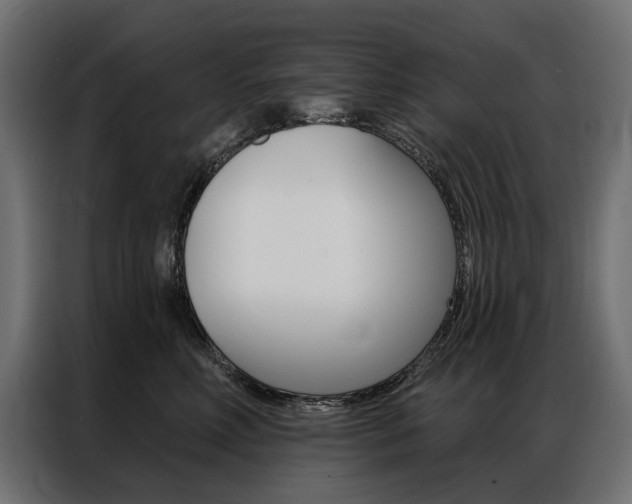 X0000086900618200704160948