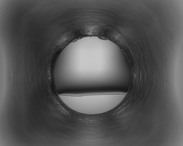 X0000086900620200704160948