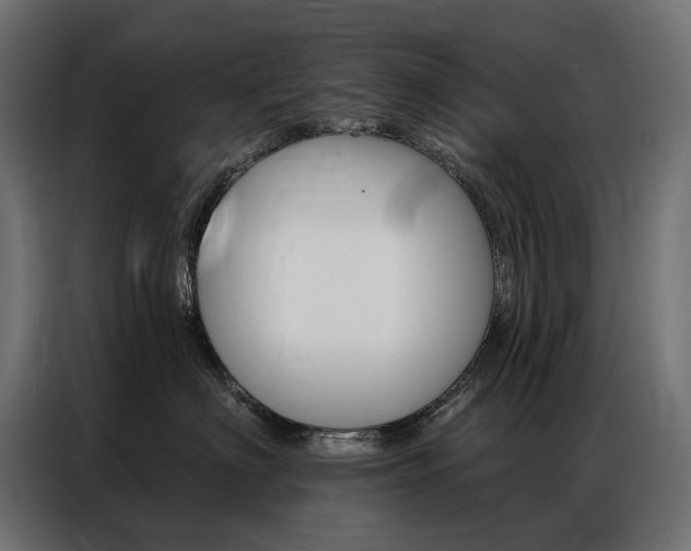 X0000086900622200704160948