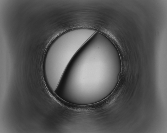 X0000086900625200704160947