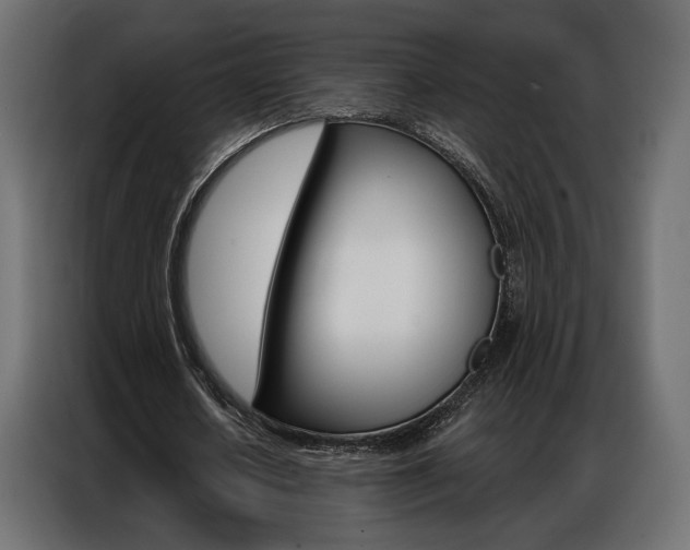 X0000086900626200704160947