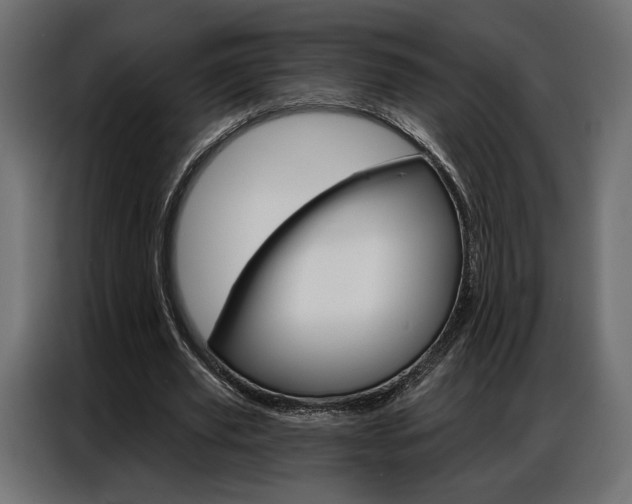 X0000086900629200704160947