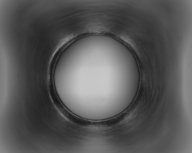 X0000086900630200704160947