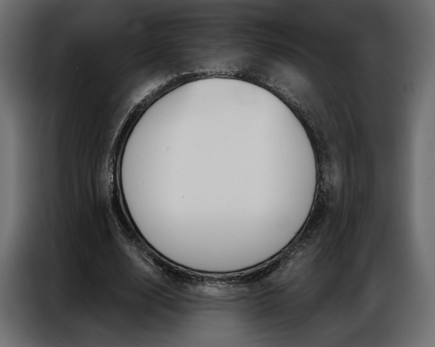 X0000086900632200704160947