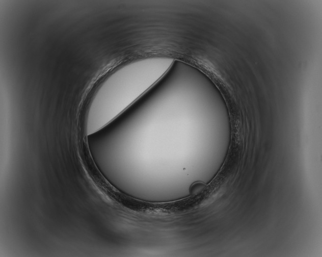 X0000086900634200704160948