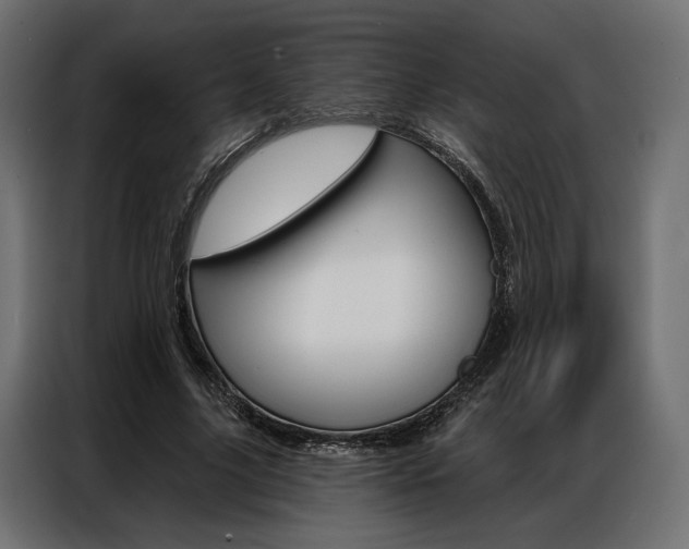 X0000086900635200704160948