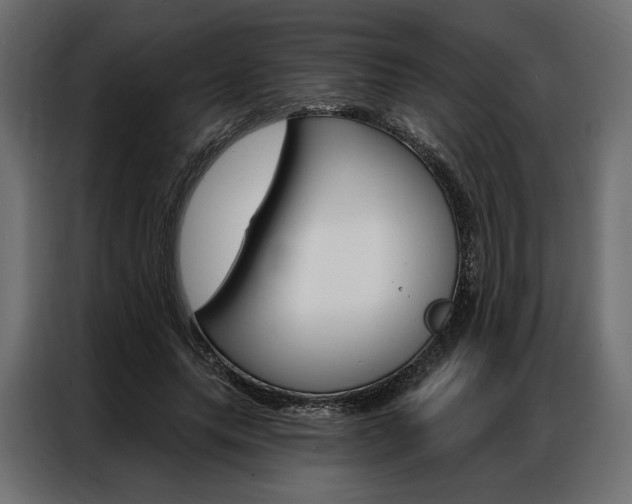 X0000086900639200704160948