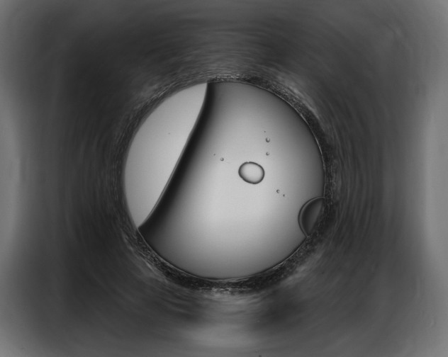 X0000086900641200704160948