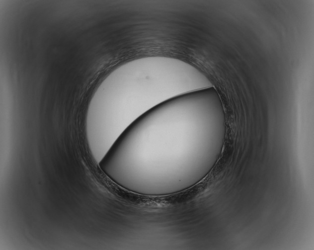 X0000086900642200704160948
