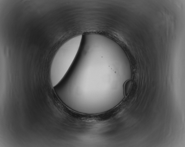 X0000086900643200704160948