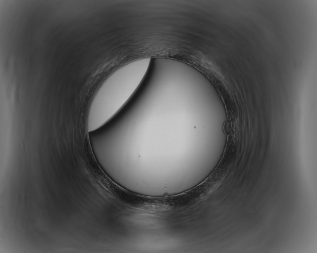X0000086900644200704160948