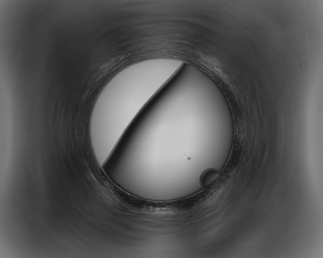 X0000086900645200704160948