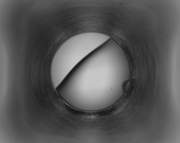 X0000086900646200704160948