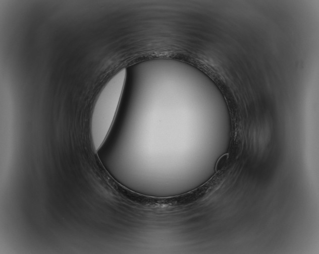 X0000086900647200704160948