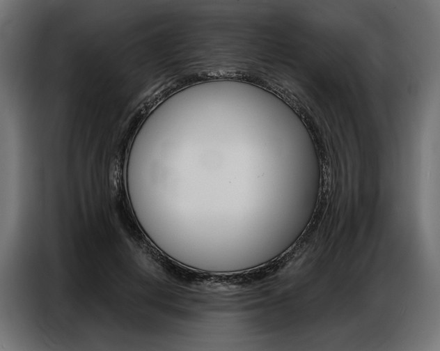 X0000086900648200704160948