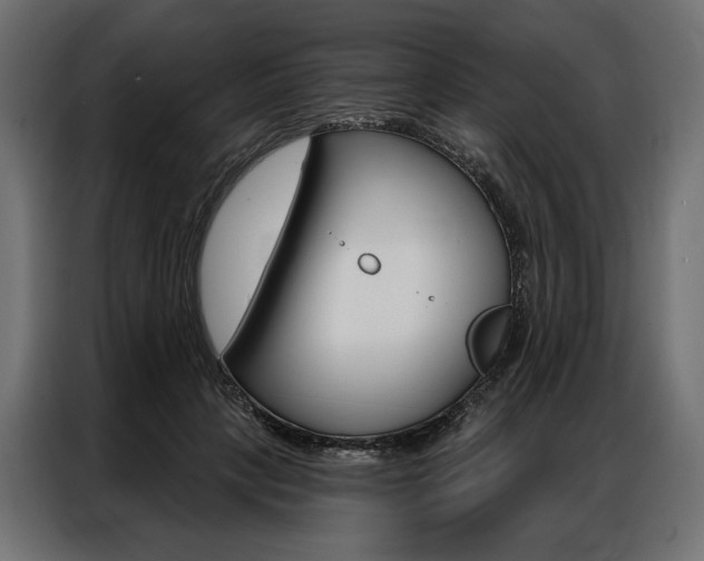 X0000086900649200704160948