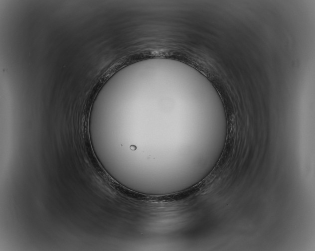 X0000086900650200704160948