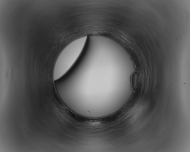 X0000086900651200704160948