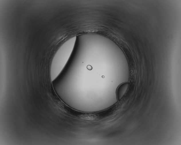 X0000086900652200704160948
