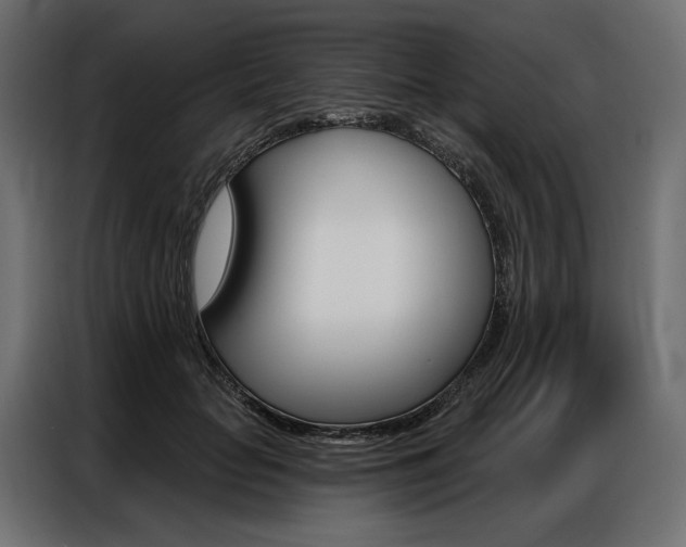 X0000086900653200704160948