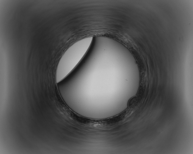 X0000086900655200704160948