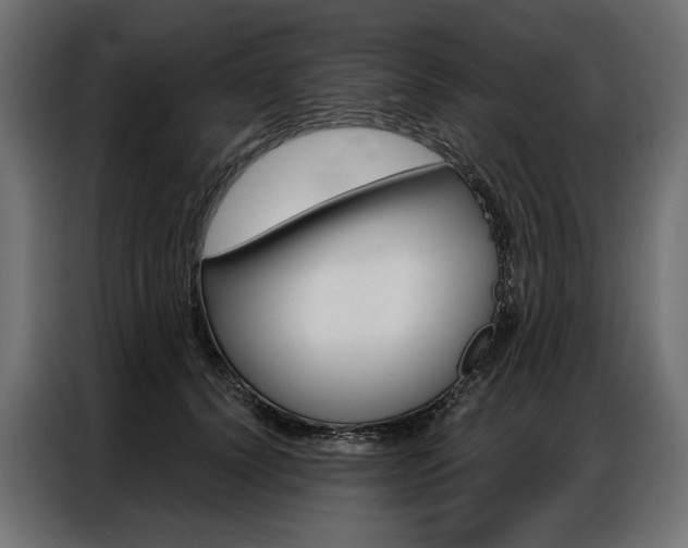 X0000086900656200704160948