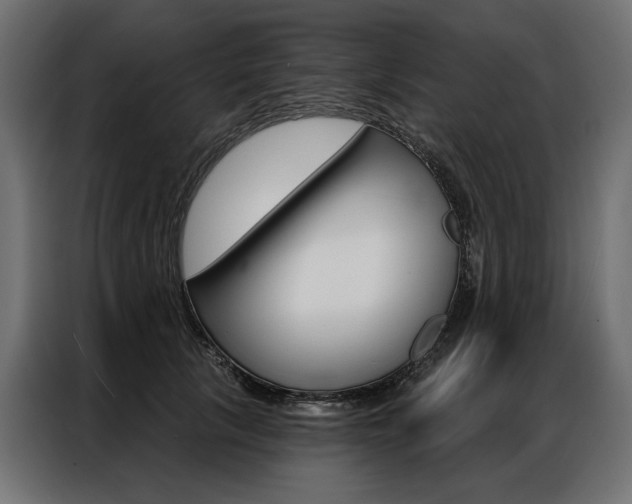 X0000086900657200704160948