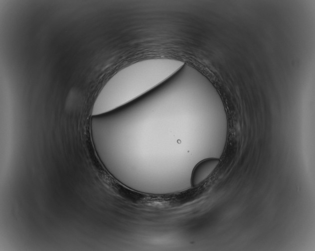 X0000086900658200704160948