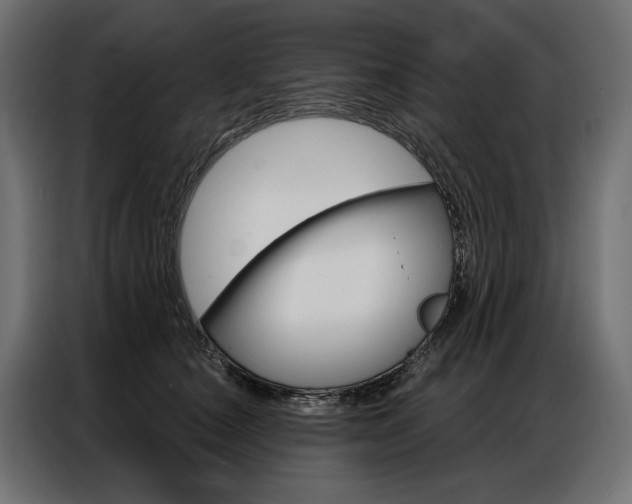 X0000086900660200704160948