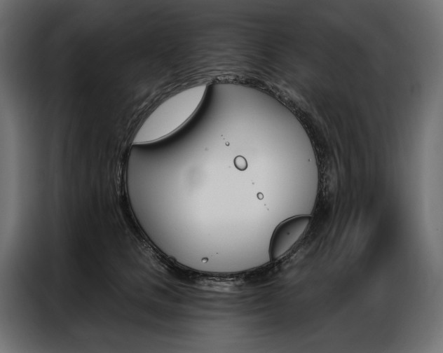 X0000086900661200704160948