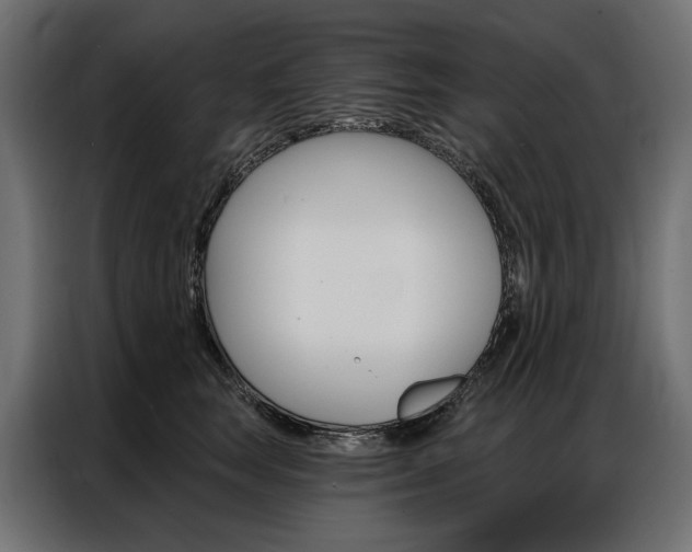 X0000086900663200704160948