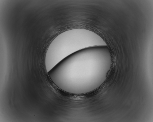 X0000086900664200704160948