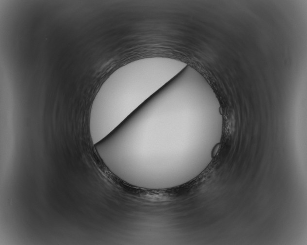 X0000086900666200704160948