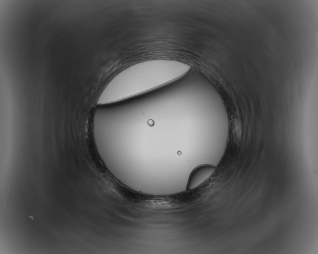 X0000086900668200704160948