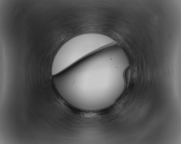 X0000086900669200704160948
