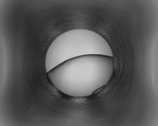 X0000086900670200704160948