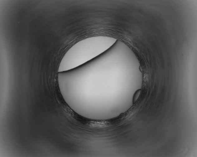 X0000086900671200704160948